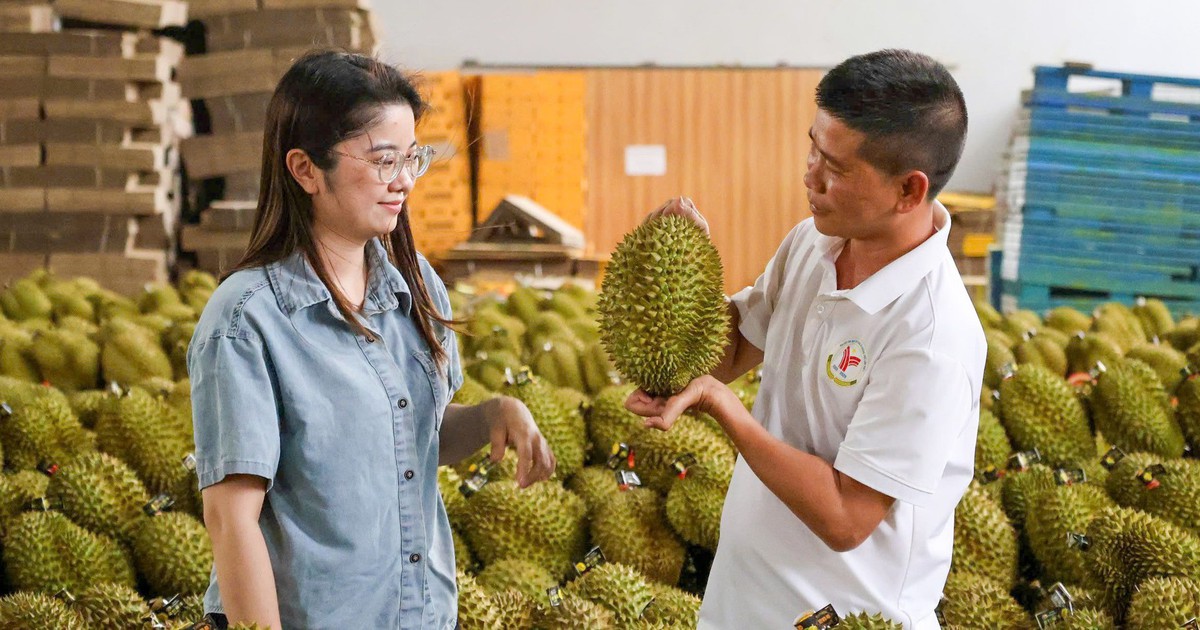 Xuất khẩu sầu riêng Việt Nam hướng tới mục tiêu 4 tỷ USD