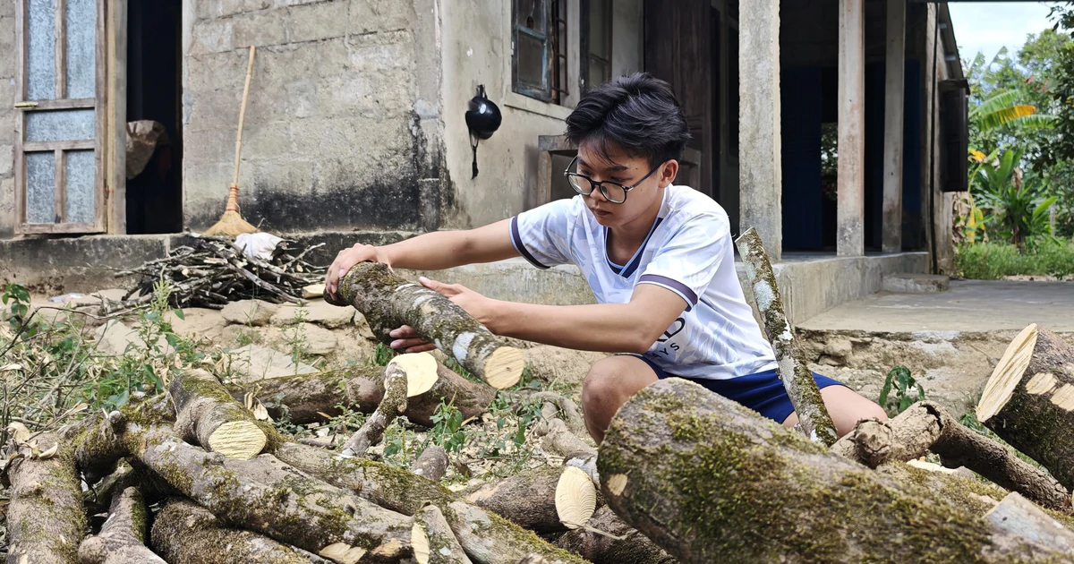 Huế freshman keeps studying in memory of his late mother
