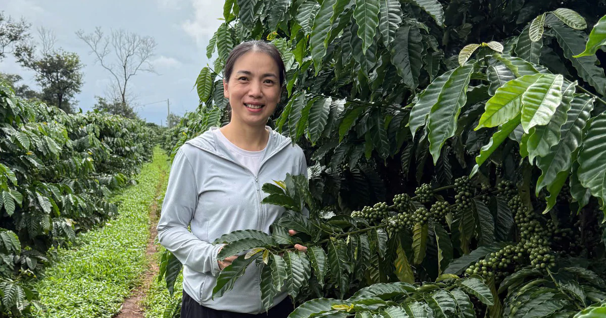 Young entrepreneurs create value from coffee fruit waste