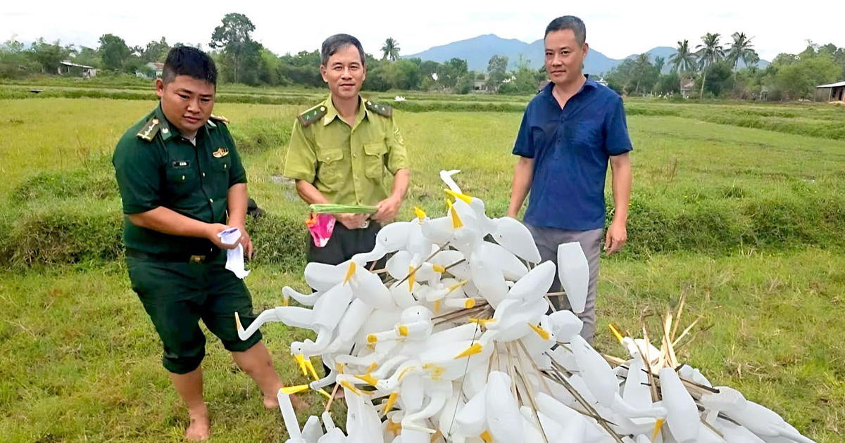 Authorities Remove Thousands of Bird Traps in Hue