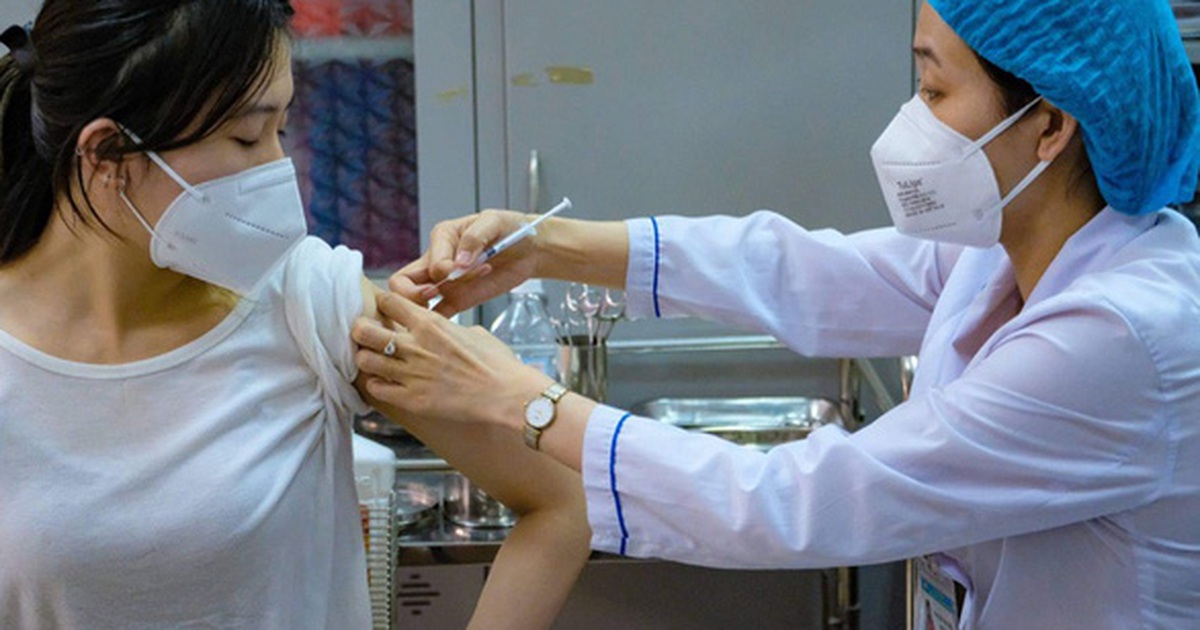 Over 500,000 vaccine doses donated by Poland arrive in Vietnam