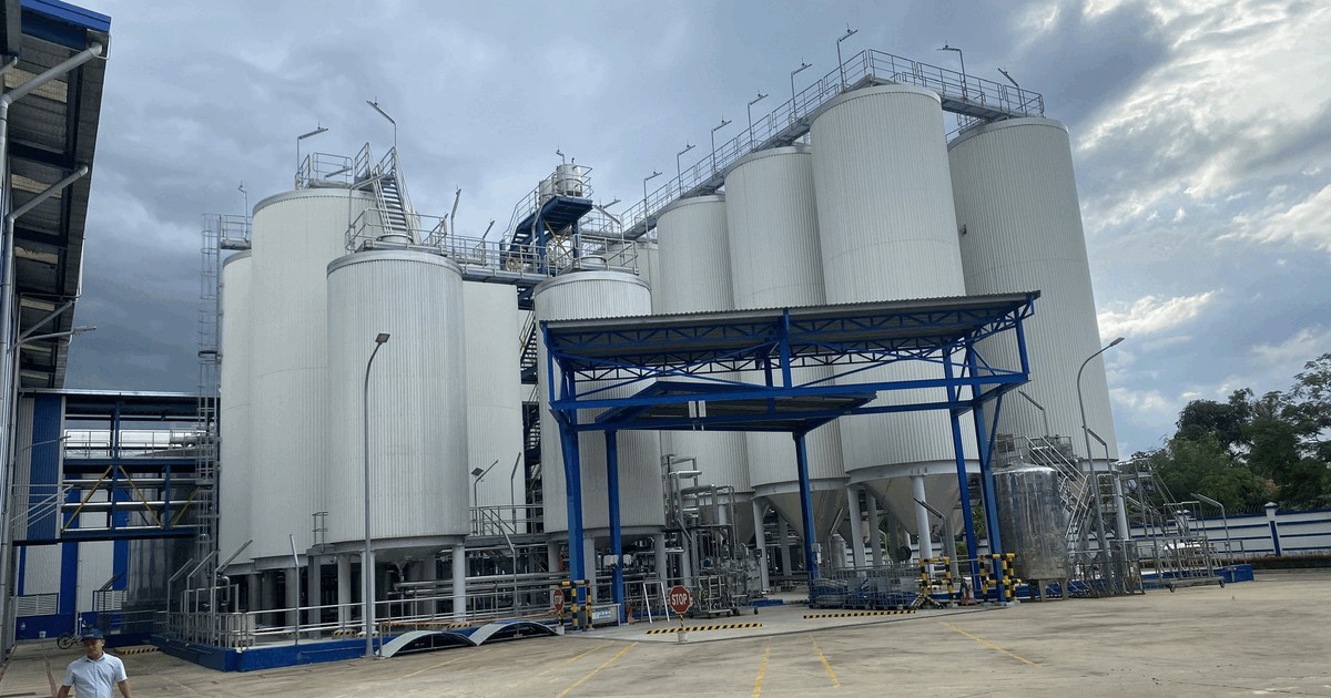 Heineken to cease operation of central Vietnam brewery due to weak market demand