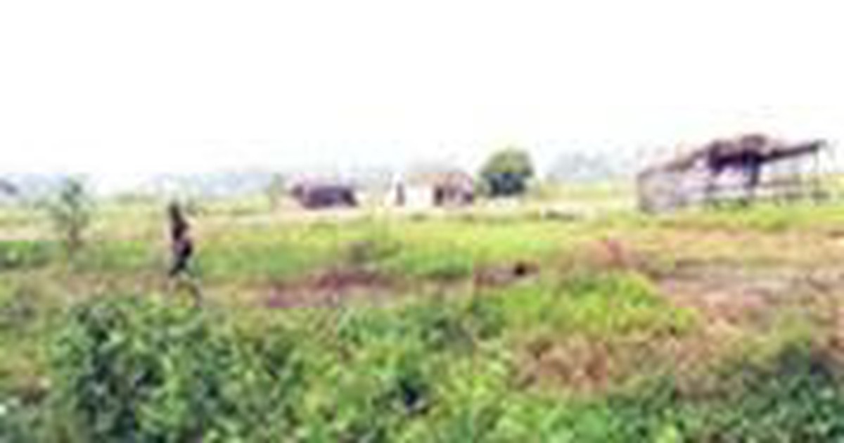tuoitre.vn