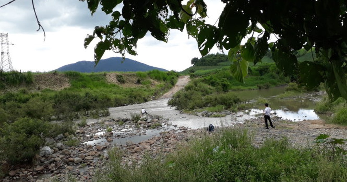 tuoitre.vn