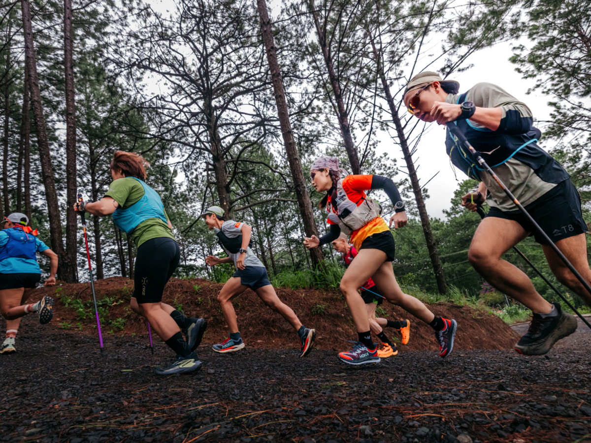 Nearly 1,000 local, int’l runners to compete in Vietnam Highlands Trail 2025
