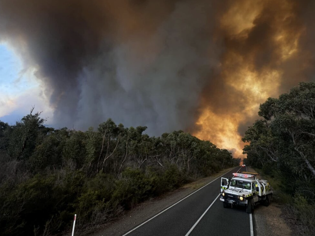 Rain helps stall wildfire in New Zealand's oldest national park