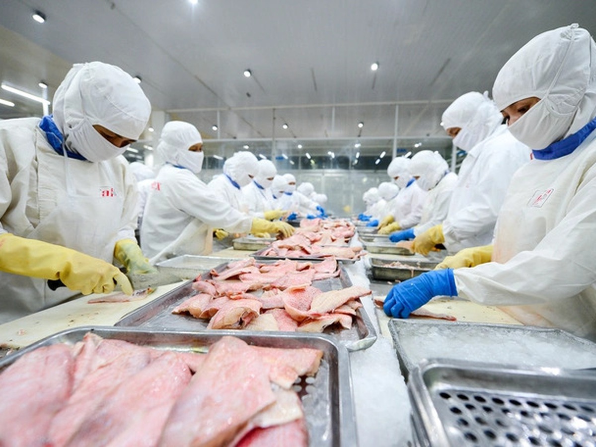 Vietnam posts $19.56bn trade surplus in January-October