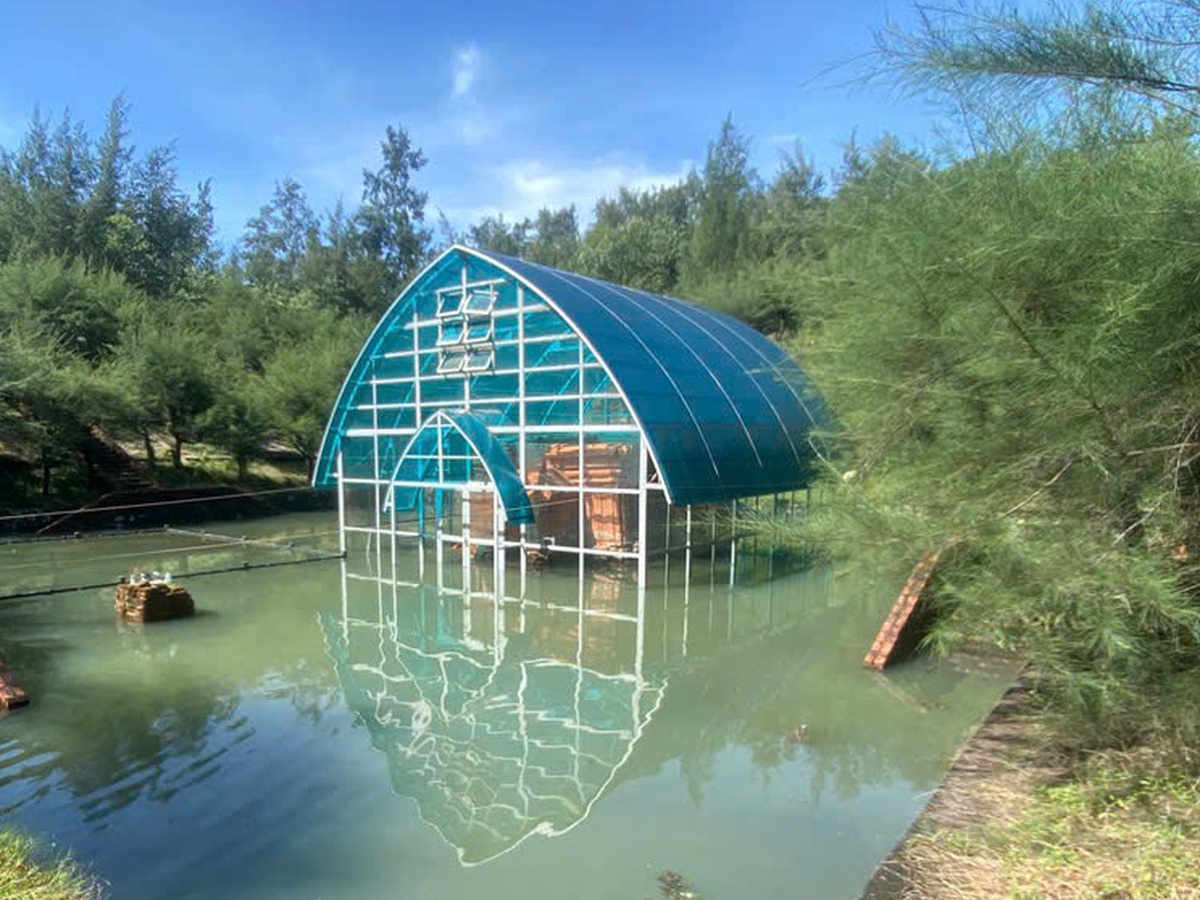 World-record Cham tower in Hue flooded after historic rainfall