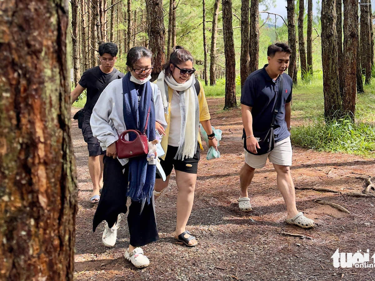 Vietnam tourism may hit record in 2025 as travelers increase spending: report