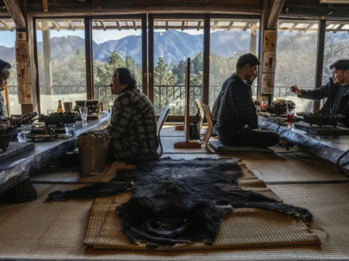 From predator to plate: Japan bear crisis sparks culinary craze