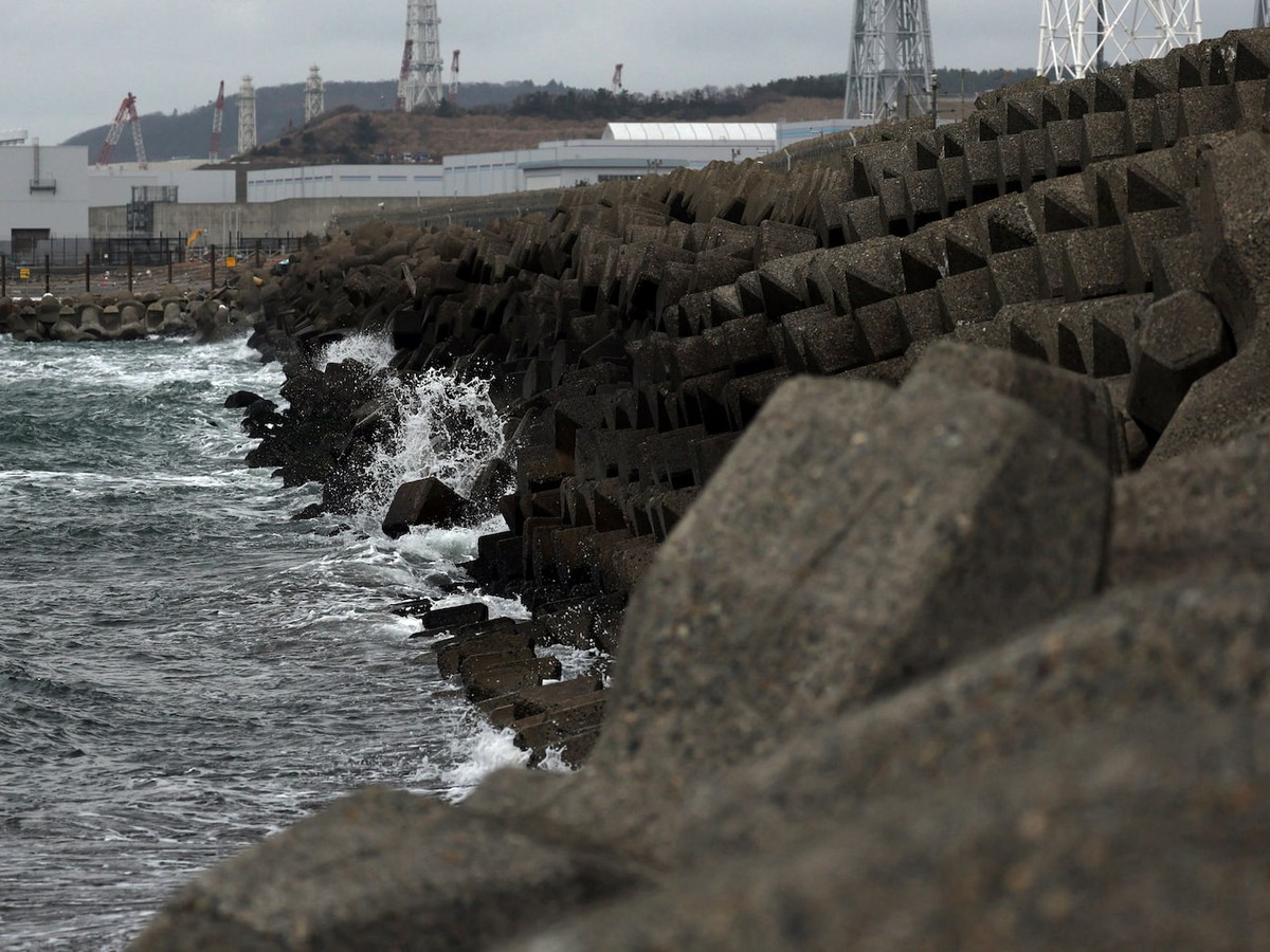 Japan's TEPCO to partially restart world's biggest nuclear power plant on January 20