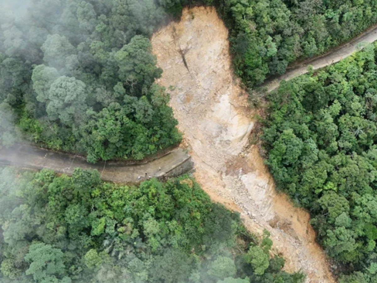 Vietnam indefinitely halts Bach Ma Mountain tourism after severe landslides