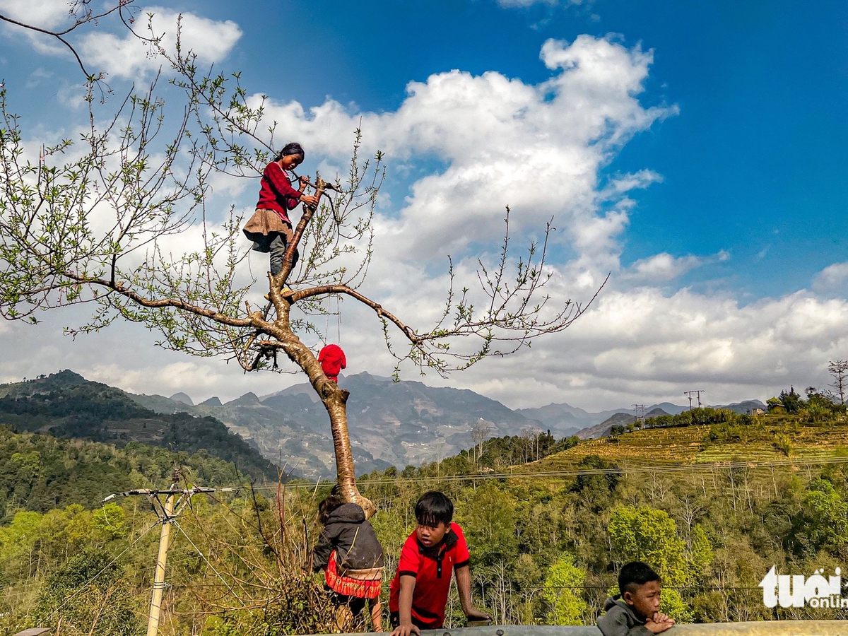 Vietnam’s Dong Van Karst Plateau wins top regional cultural destination award