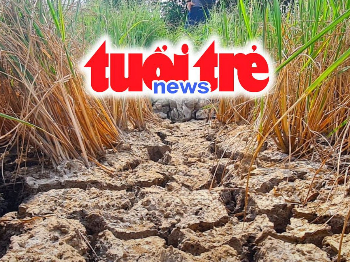 Vietnam Spotlight Podcast: Very strong El Nino may bring fewer storms, Phu Quoc plans to lease forest for ecotourism