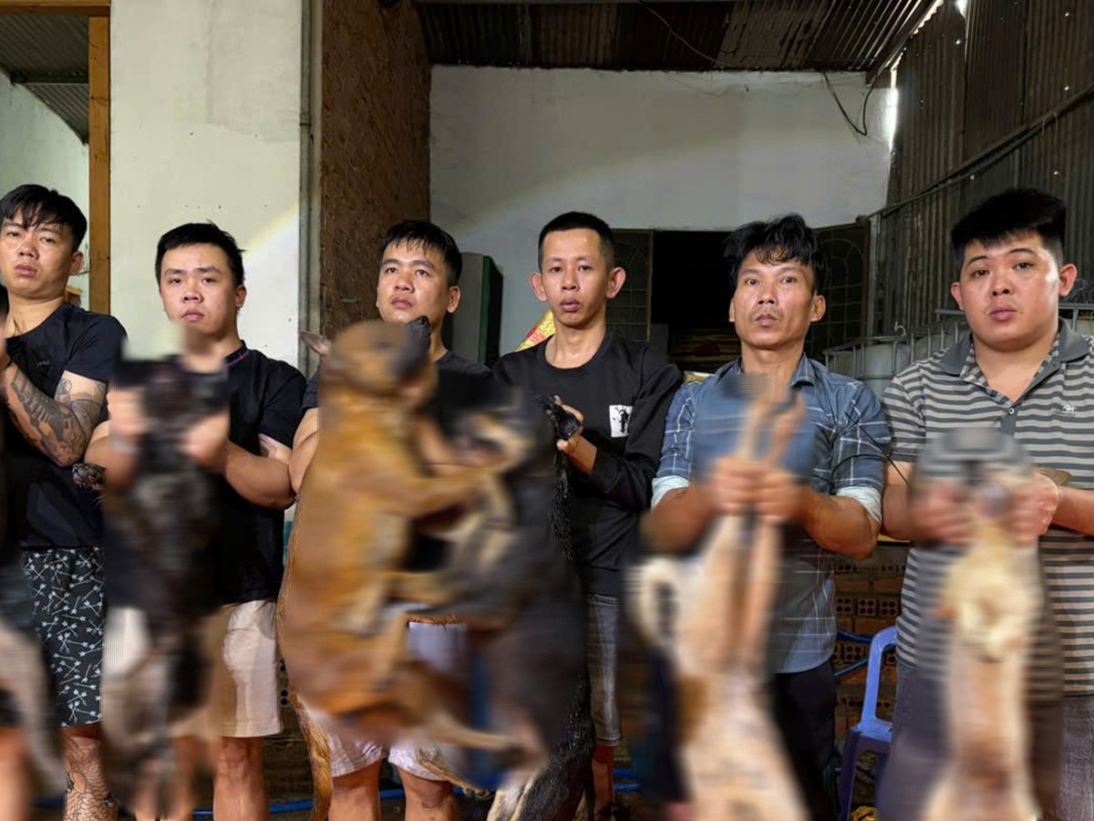 Ho Chi Minh City police crack down on pet theft rings, charge 33 suspects