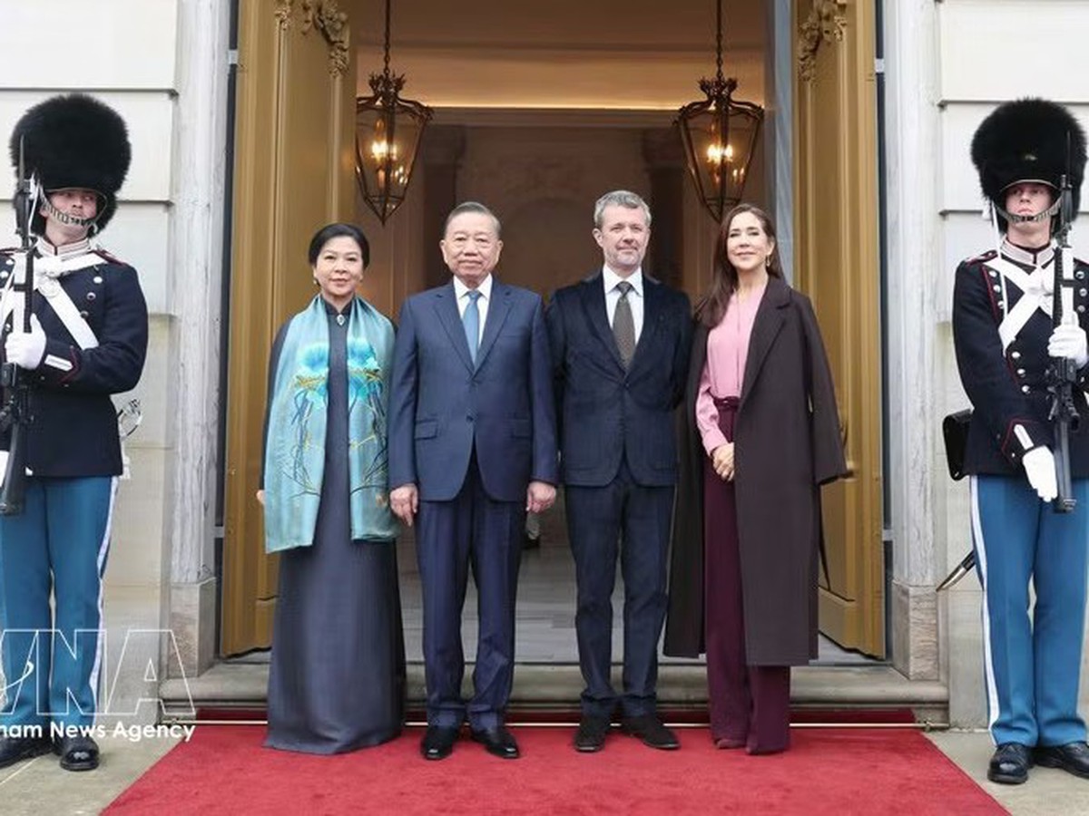 Top Vietnamese leader concludes state visit to Denmark