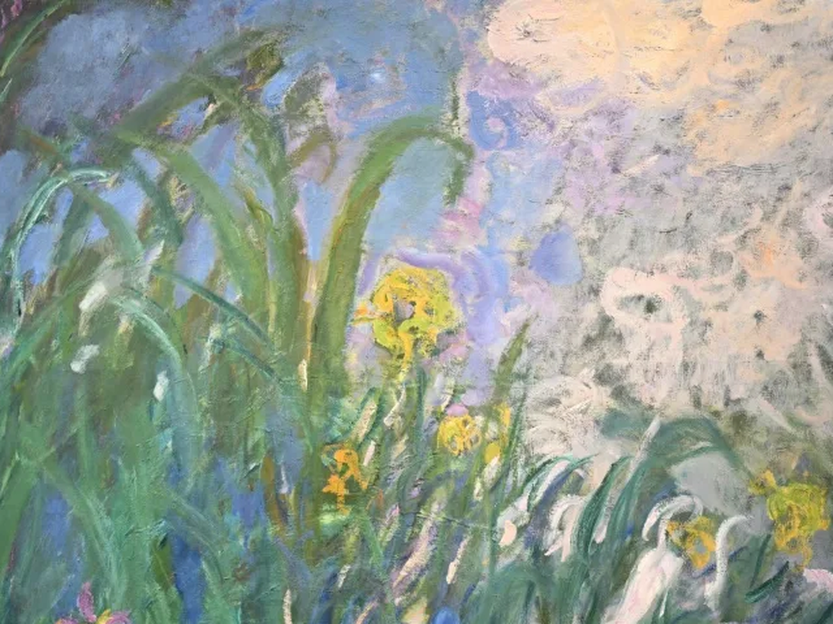 Monet's 'Iris' fetches 50 mn euros at Paris auction