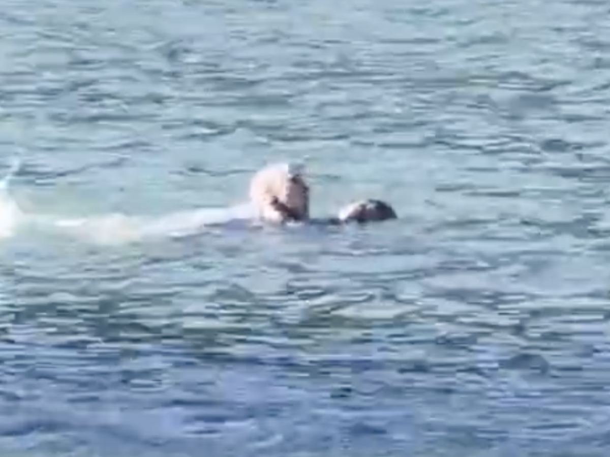 American swims into Vietnam’s Da Lat lake to rescue drowning woman