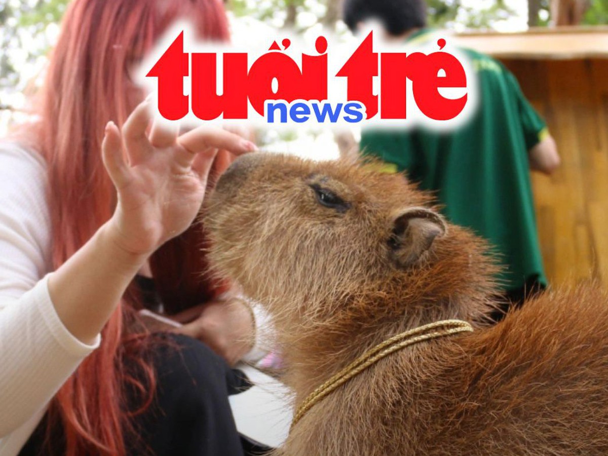 Vietnam Spotlight Podcast: Ho Chi Minh City traditional markets set for changes, Saigon Zoo welcomes three baby capybaras
