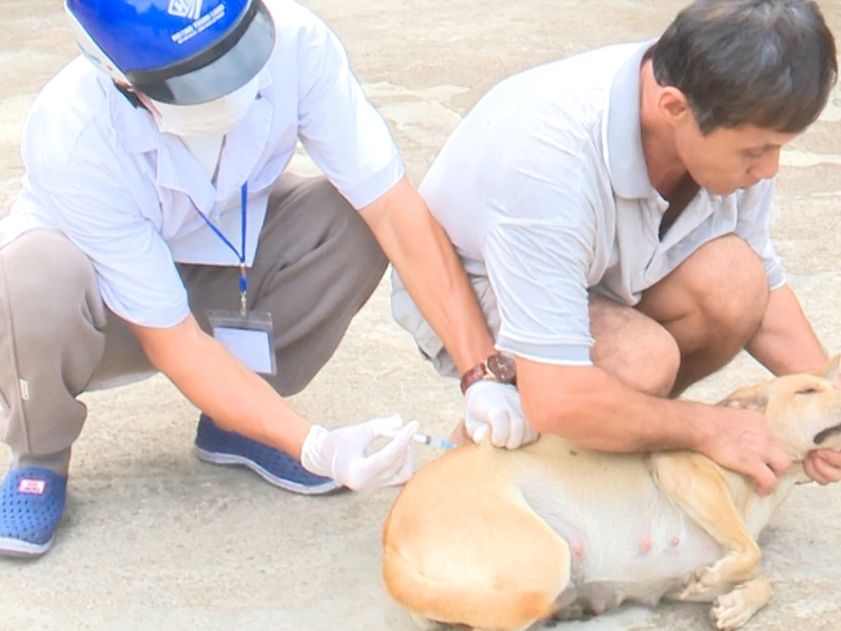 Man dies of rabies after dog bite in Vietnam’s Dong Nai