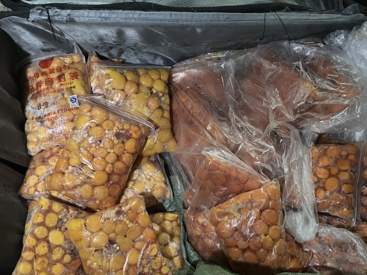 Vietnam's border guards bust smuggling ring moving tonnes of unsafe food