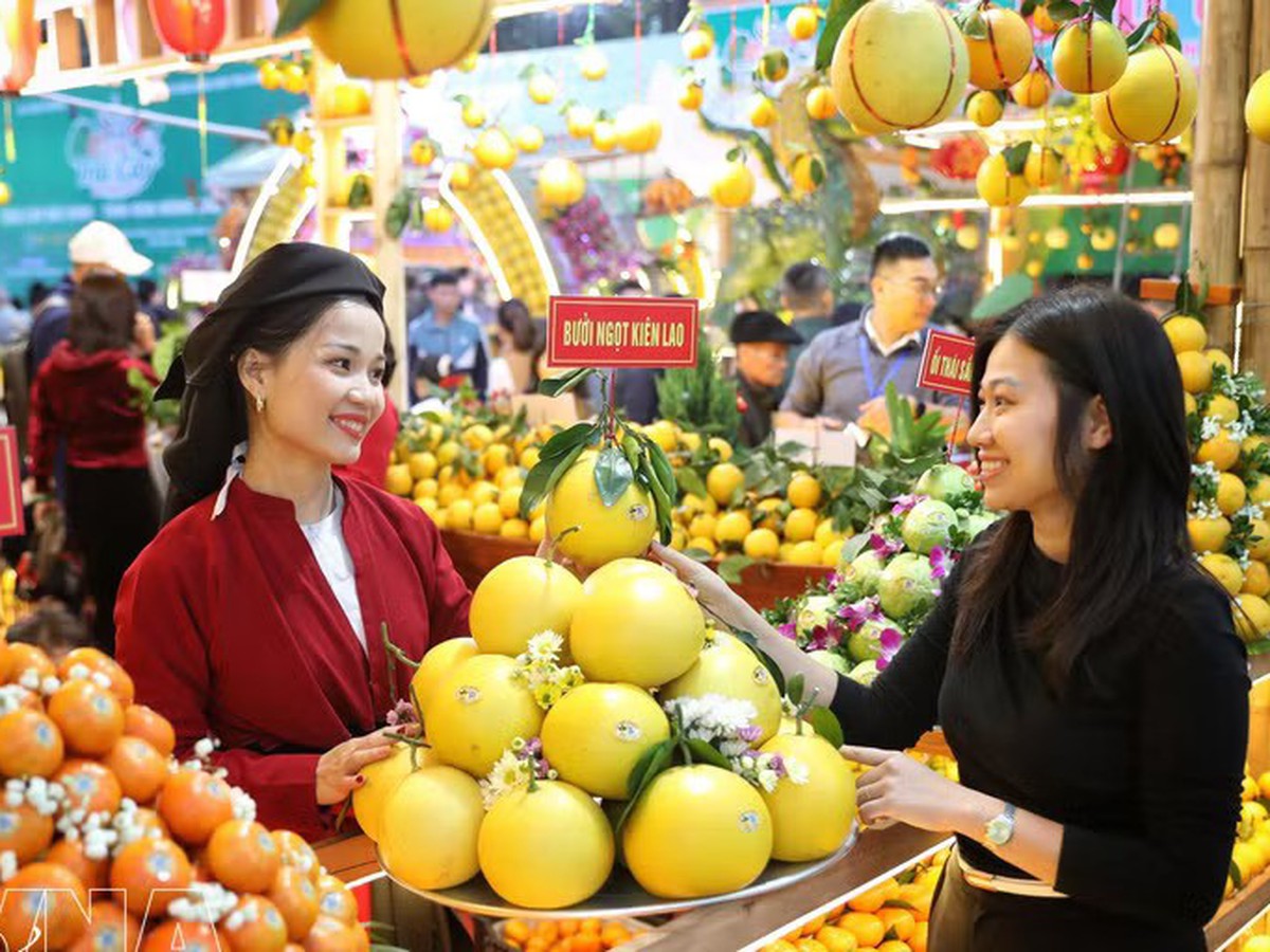 Vietnam's Deputy PM Ho Quoc Dung urges stronger market links, agro-seafood exchange establishment