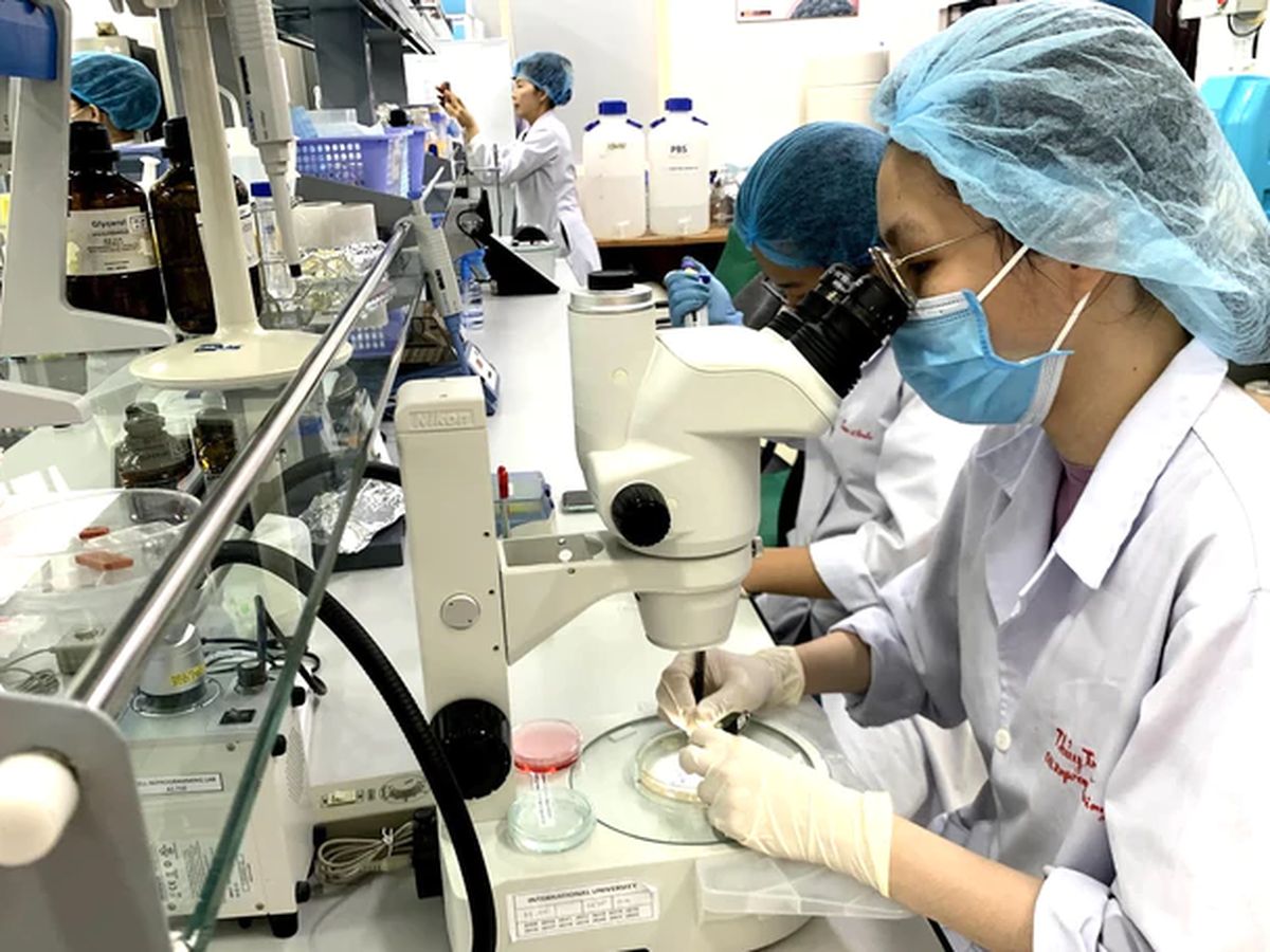 University teaching assistants in Vietnam required to have AI, foreign-language skills