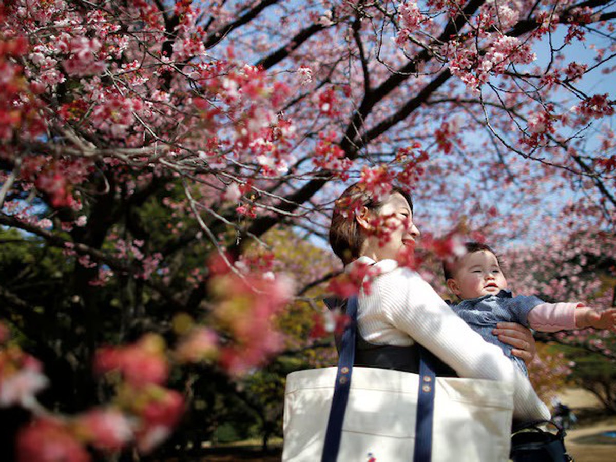 Kidney drug found effective for infertility treatment