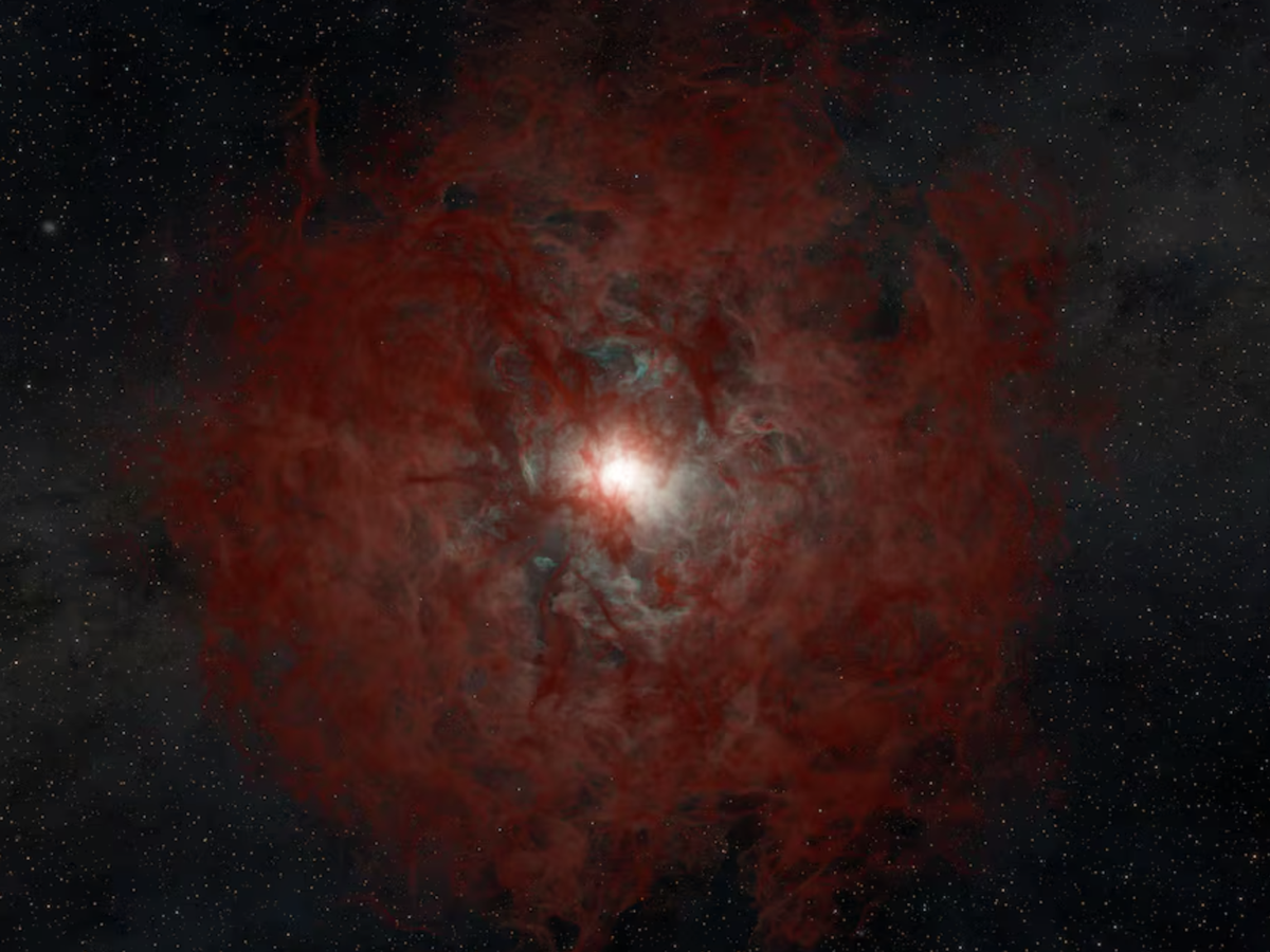 Astronomers observe a star that quietly transformed into a black hole