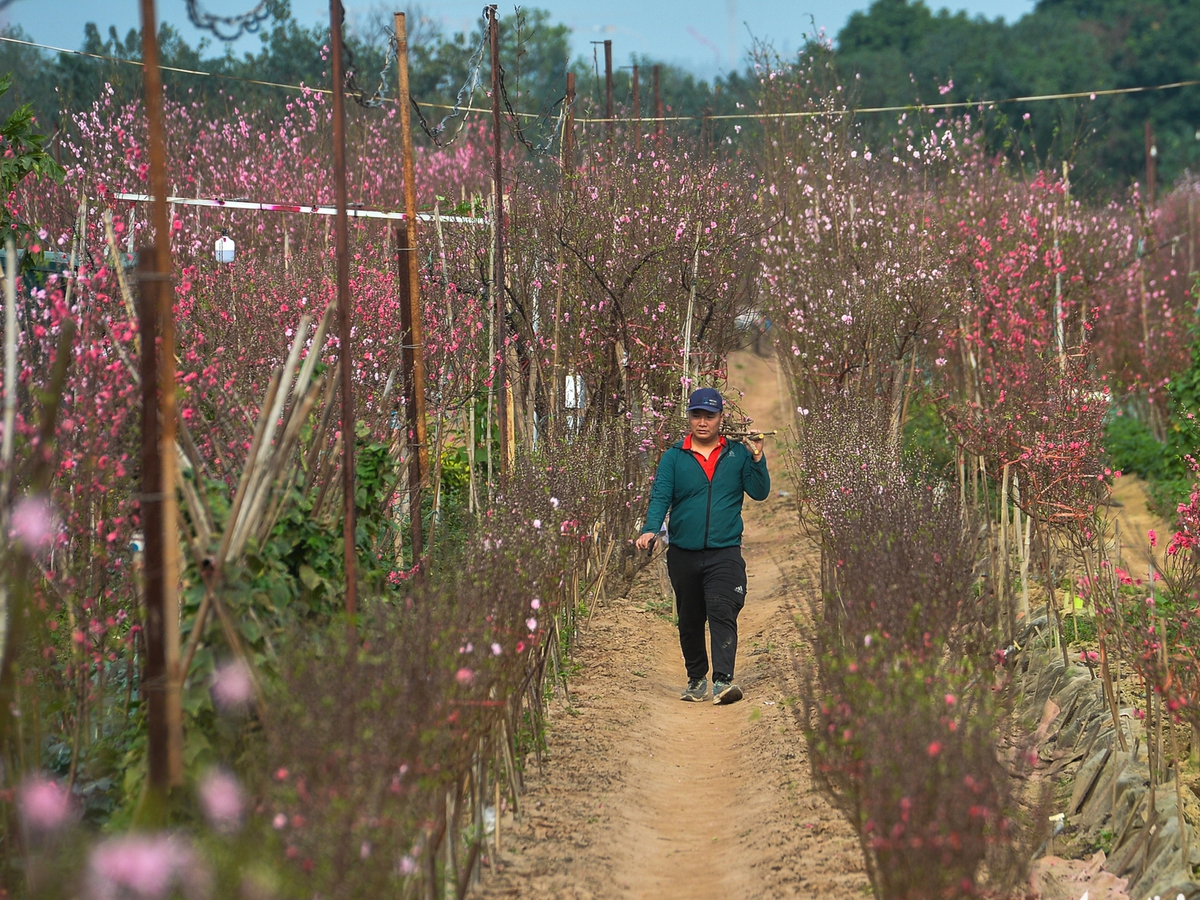 Breakfast @ Tuoi Tre News — February 9
