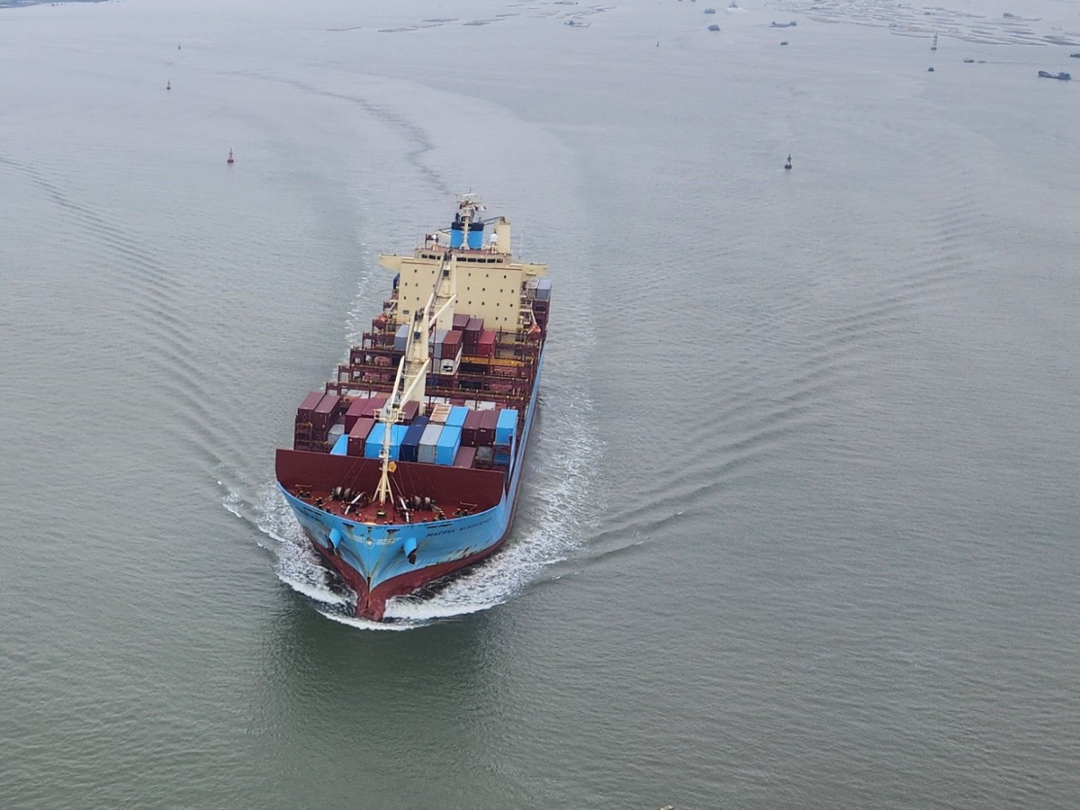 Vietnam to cut maritime pilotage fees by 10% for domestic ships