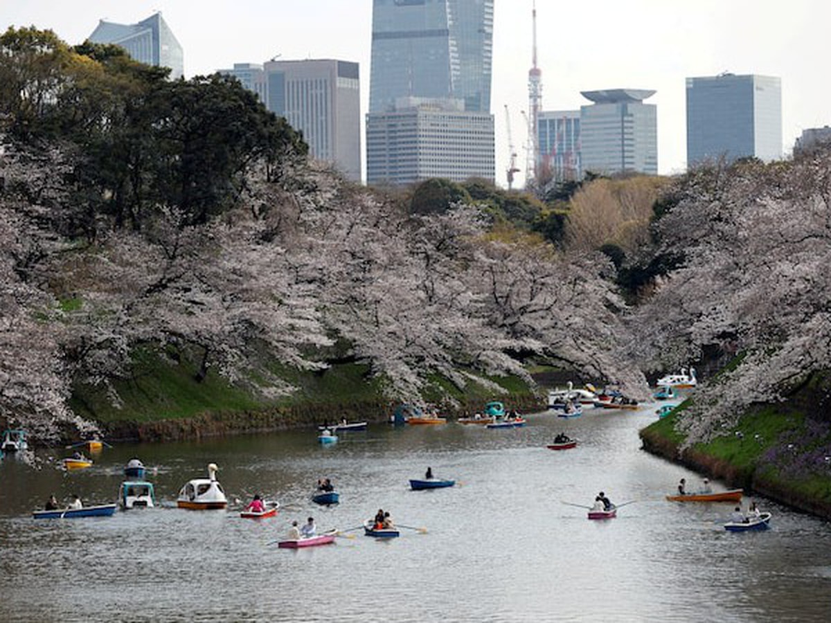 Japan aiming to attract more foreign visitors to national parks