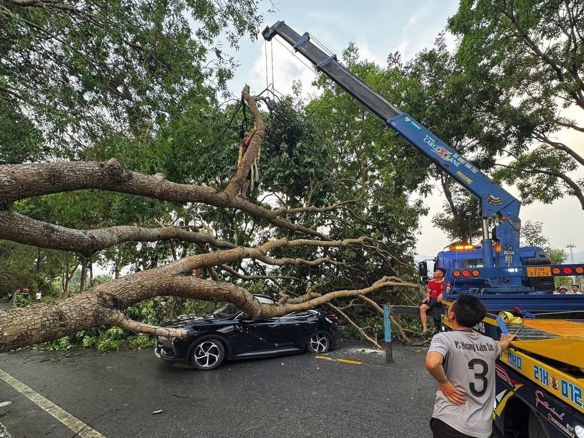 Thunderstorms topple trees, injure worker, damage vehicles in northern Vietnam