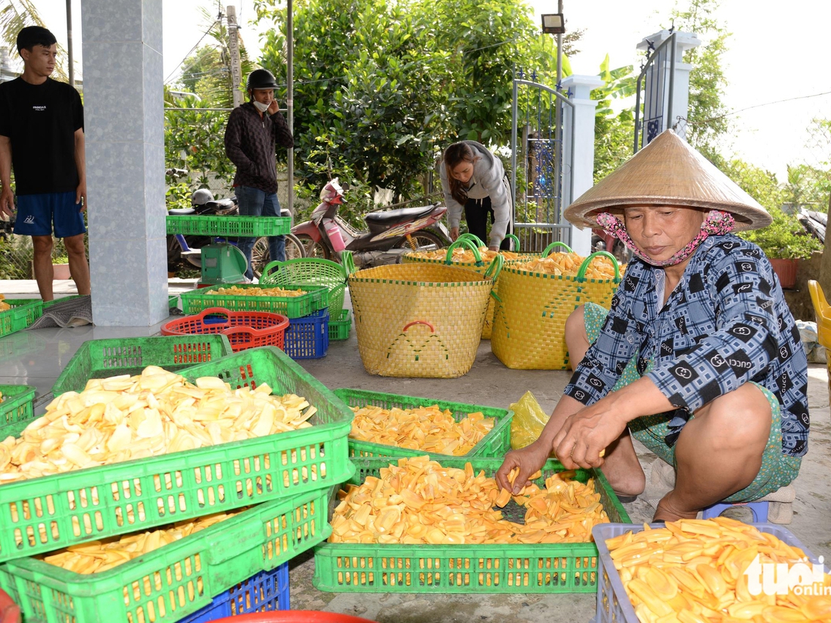 Vietnam’s Mekong Delta jackfruit farmers struggle amid price collapse