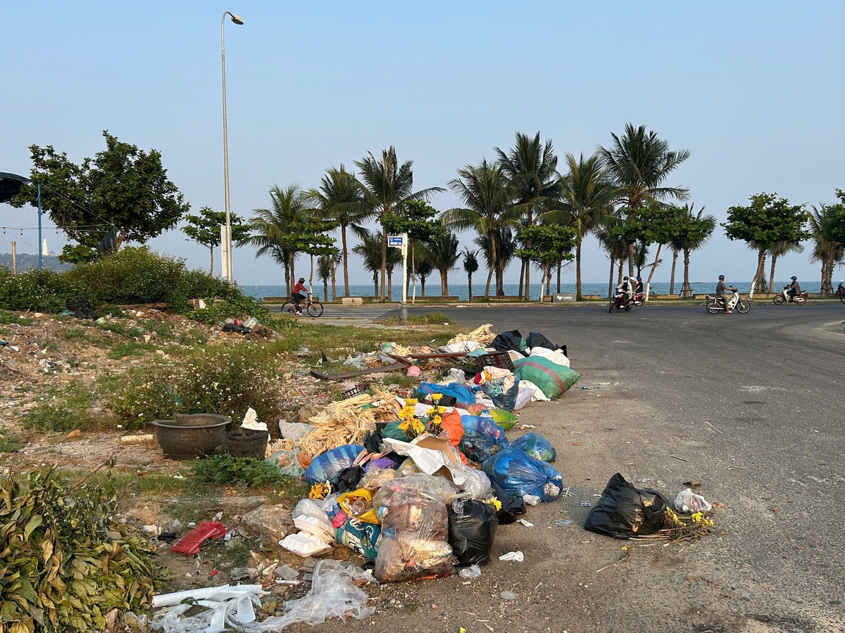 Waste piles up along Da Nang’s Son Tra coastal streets