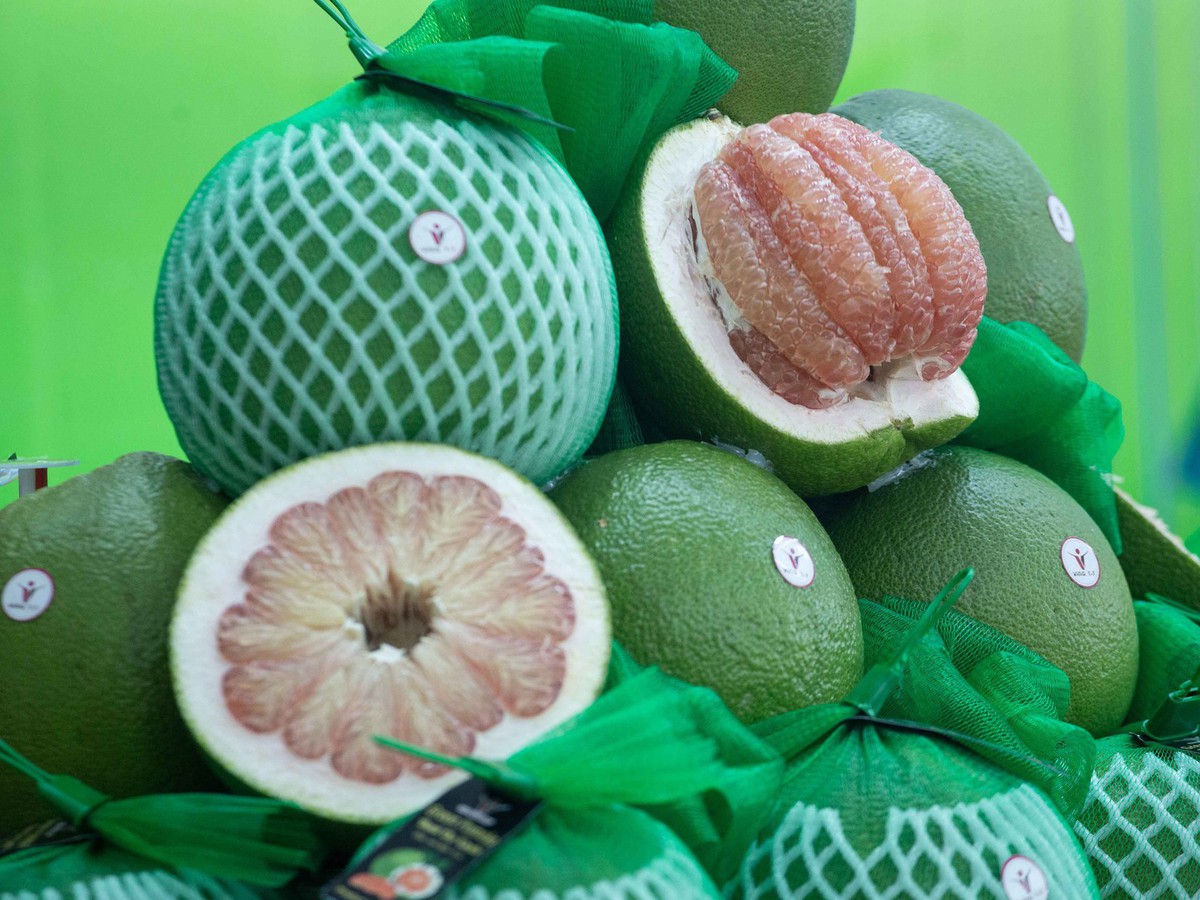 Vietnam to export 1st shipment of fresh pomelos to Australia next week