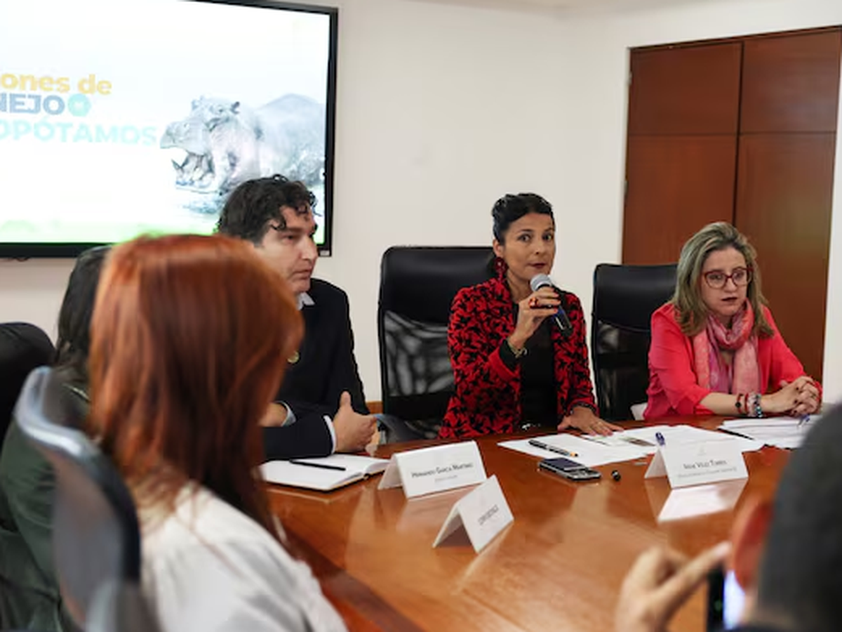 Colombia to control hippo population through euthanasia