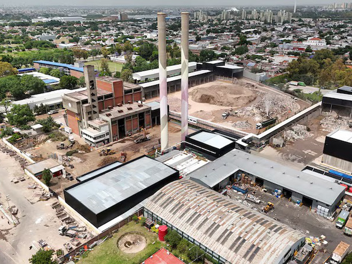 Global carbon markets hit record $79 bln revenue in 2025, ICAP says