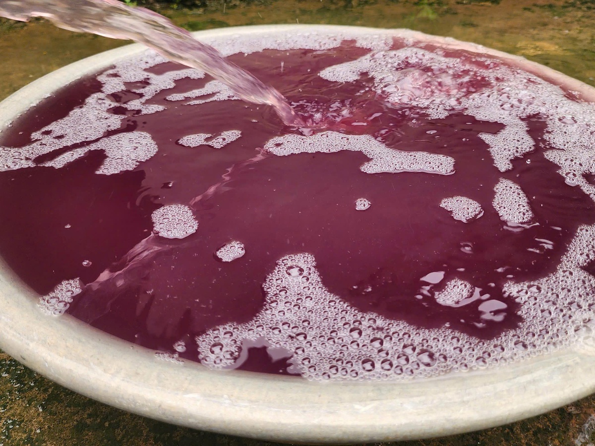 Purple water in Vietnam’s Thanh Hoa Province linked to company’s untreated wastewater discharge