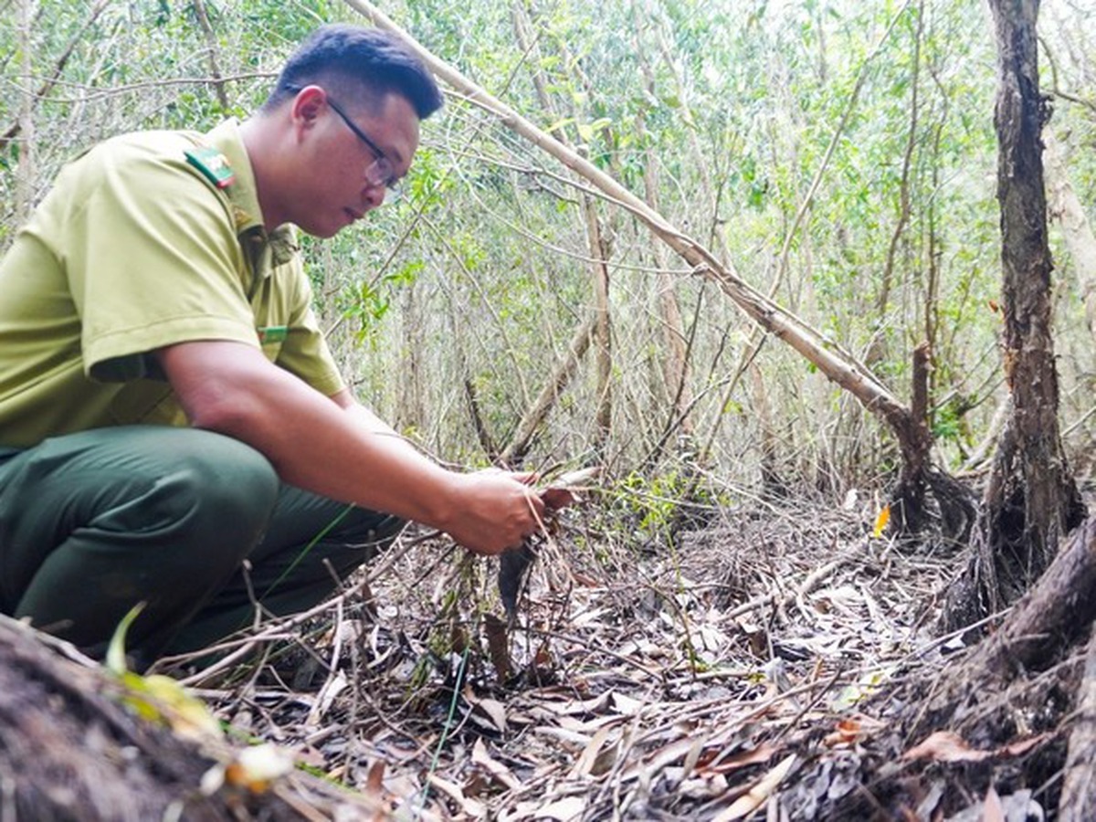 Over 20,000 hectares of forest in Vietnam’s Ca Mau at high fire risk