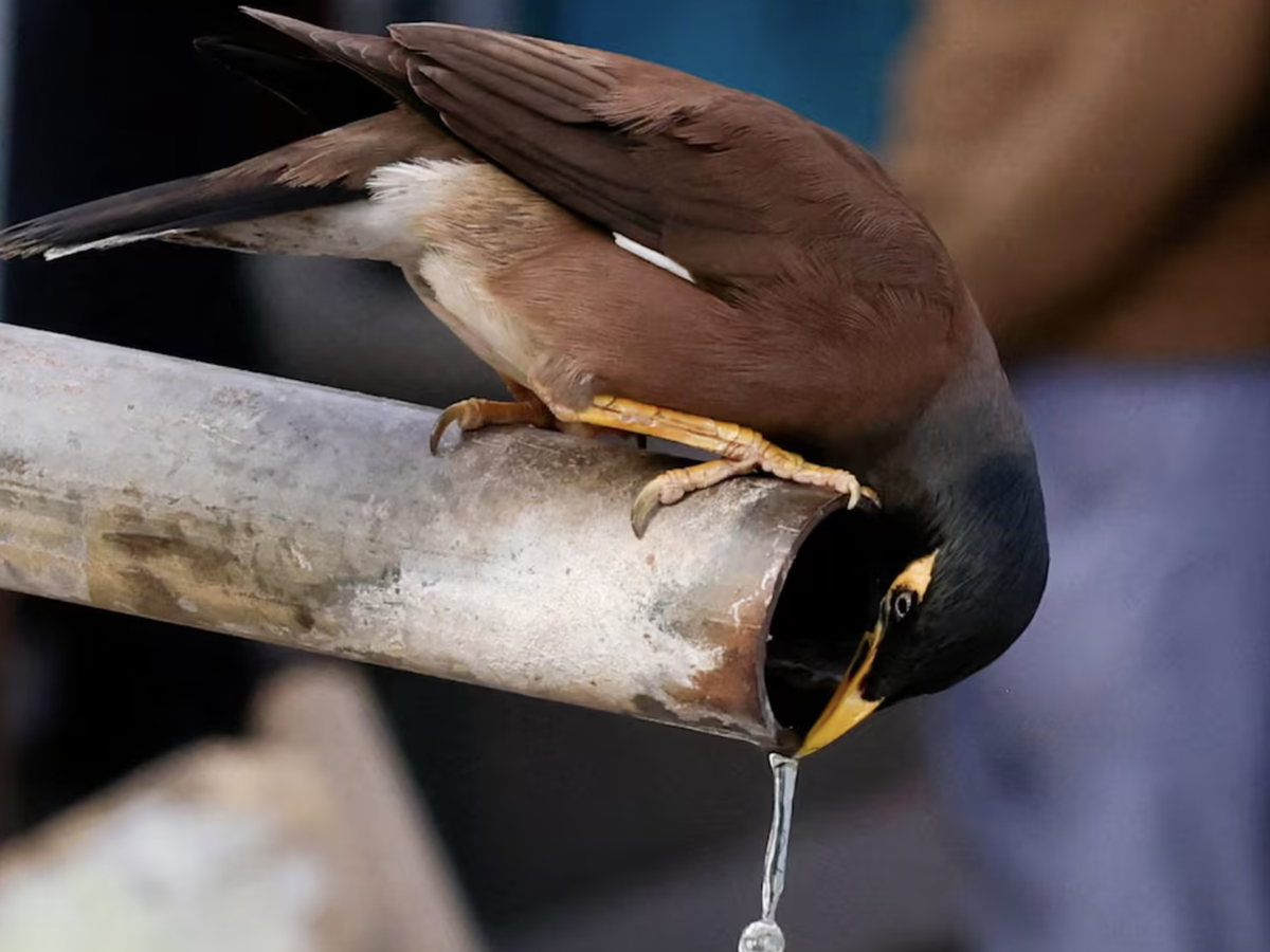 Rising water risks drive push for common water reporting rules