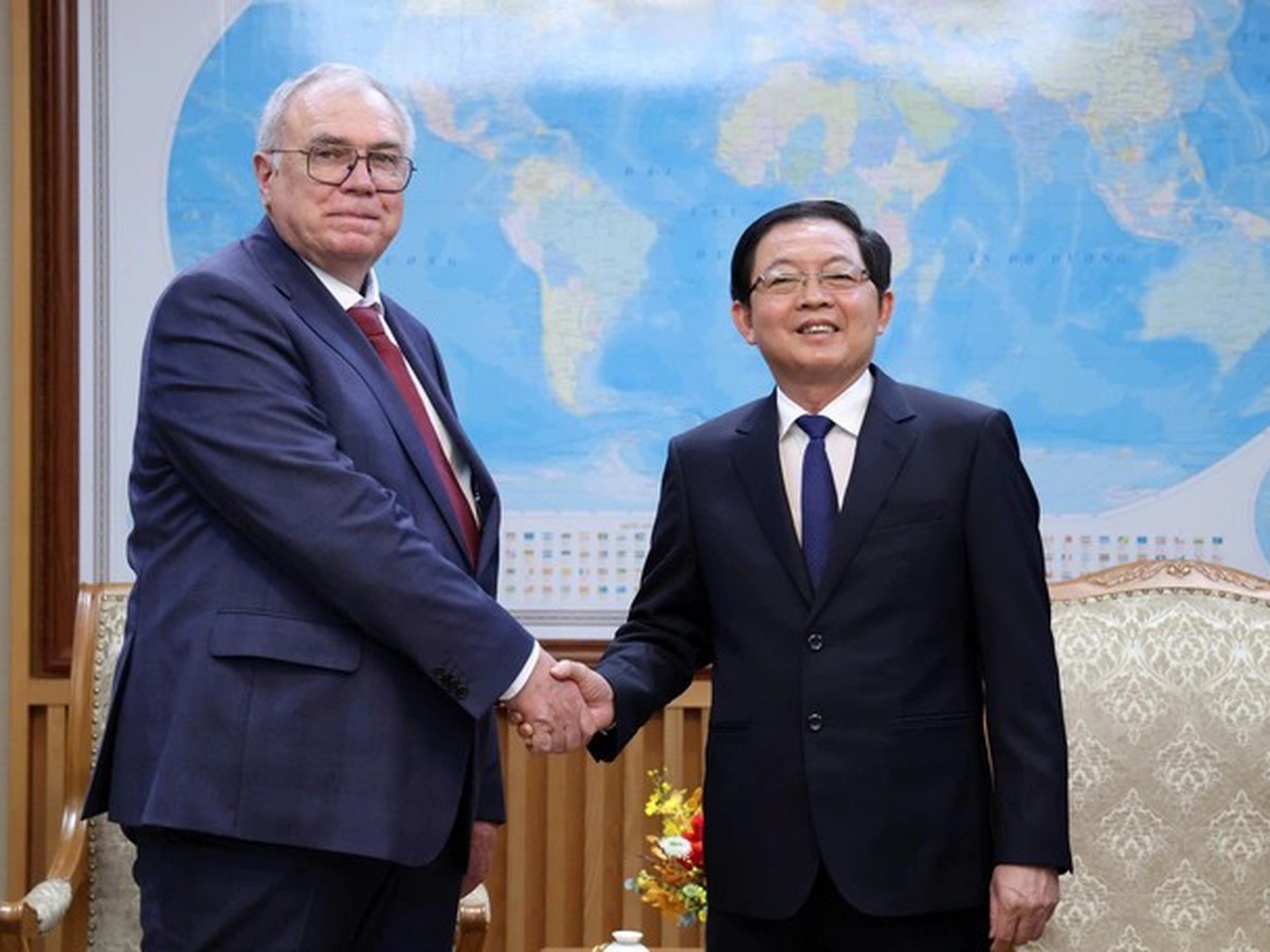 IAEA reaffirms readiness to support Vietnam’s nuclear power development