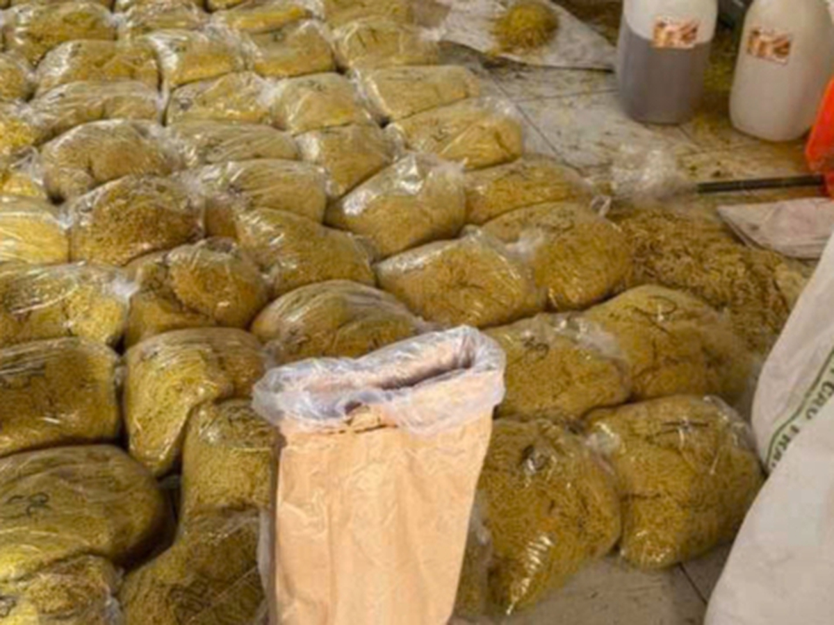 Couple arrested for allegedly producing 2,800 tonnes of contaminated fresh noodles in Ho Chi Minh City