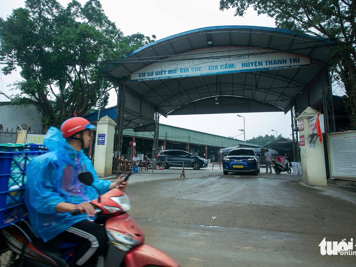 Hanoi slaughterhouse shuttered after 300-tonne diseased pork scandal