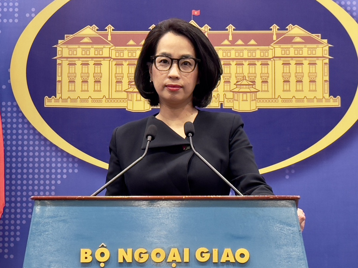 Iran processing procedures for Vietnamese ships to transit Hormuz: foreign ministry