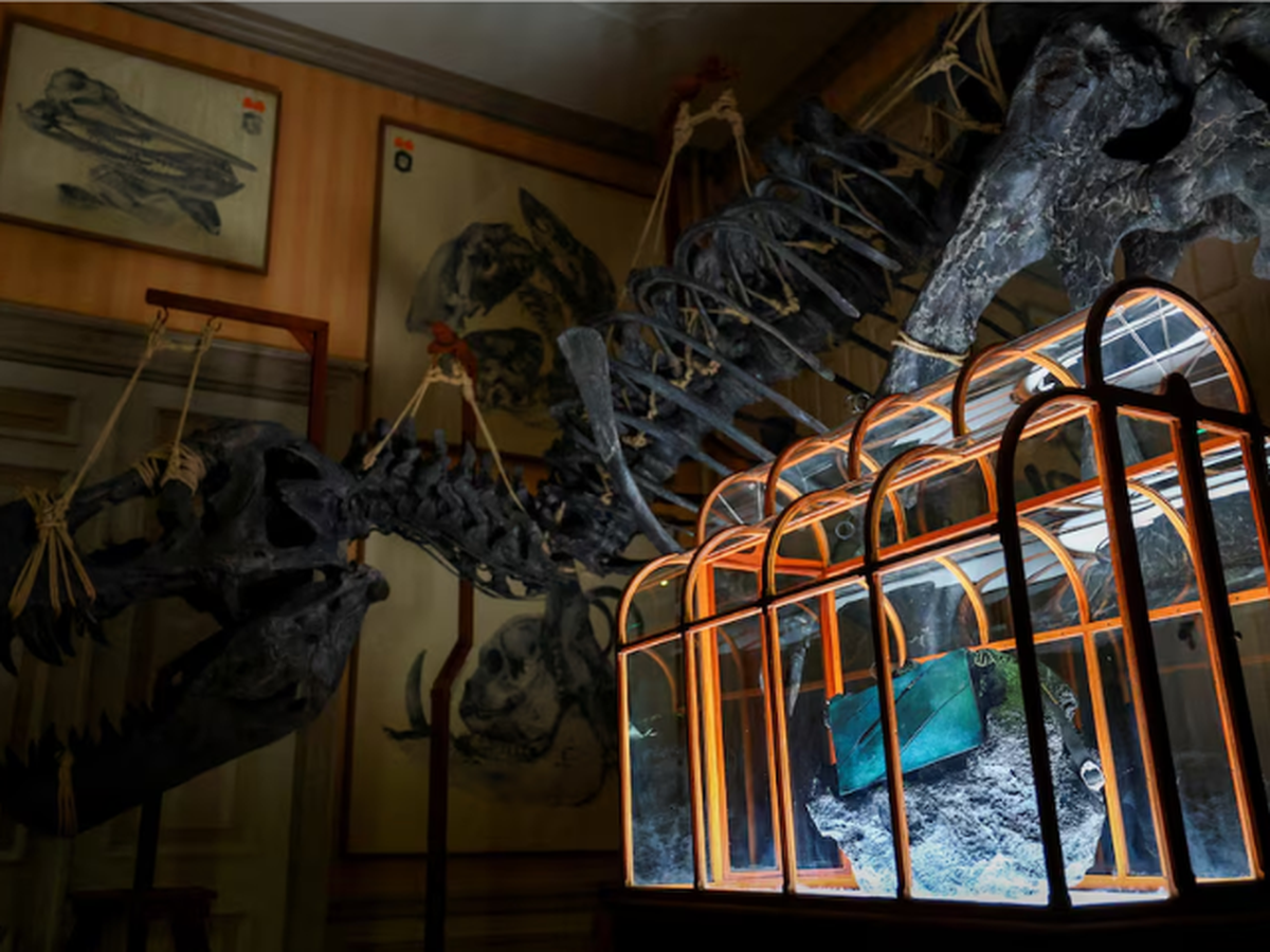 Dinosaur collagen used to create one-of-a-kind handbag