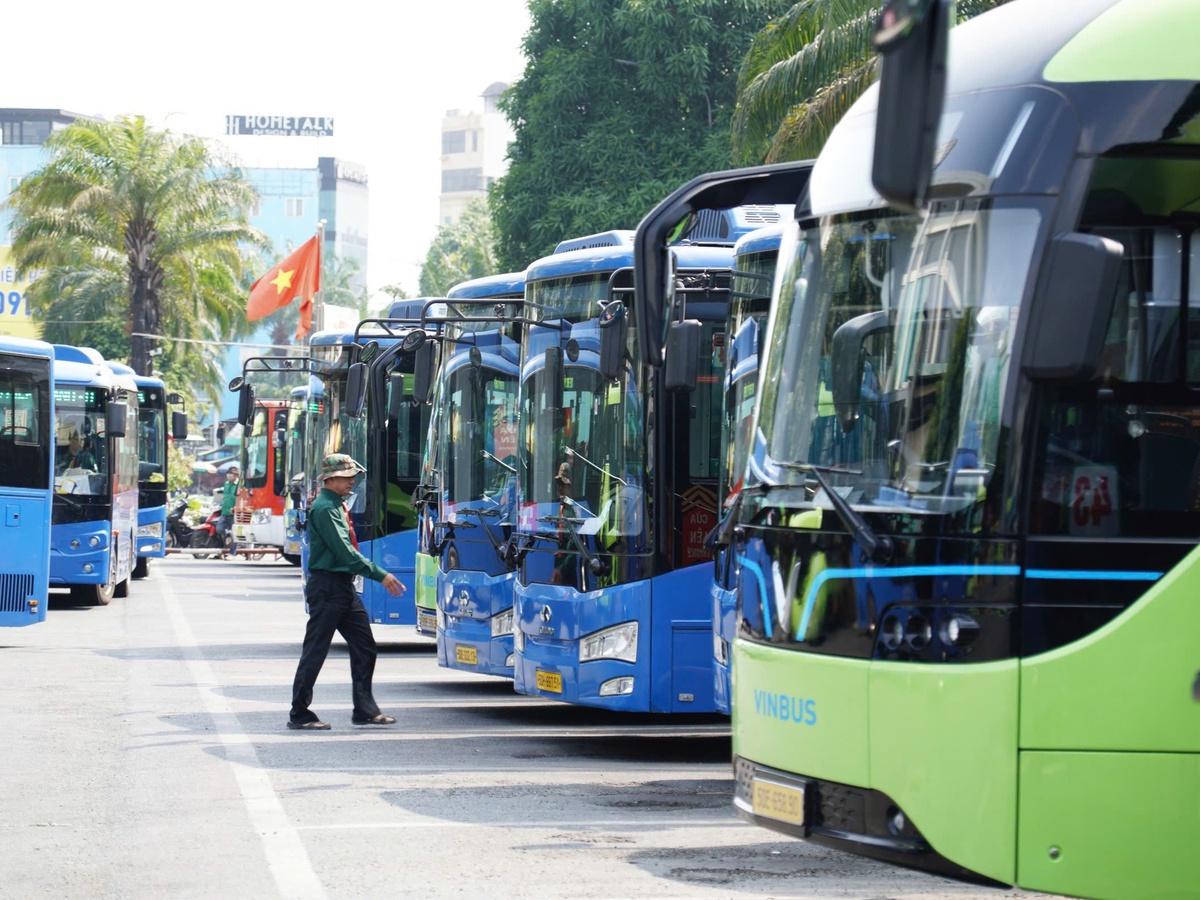 Ho Chi Minh City to roll out free bus travel for all residents this month