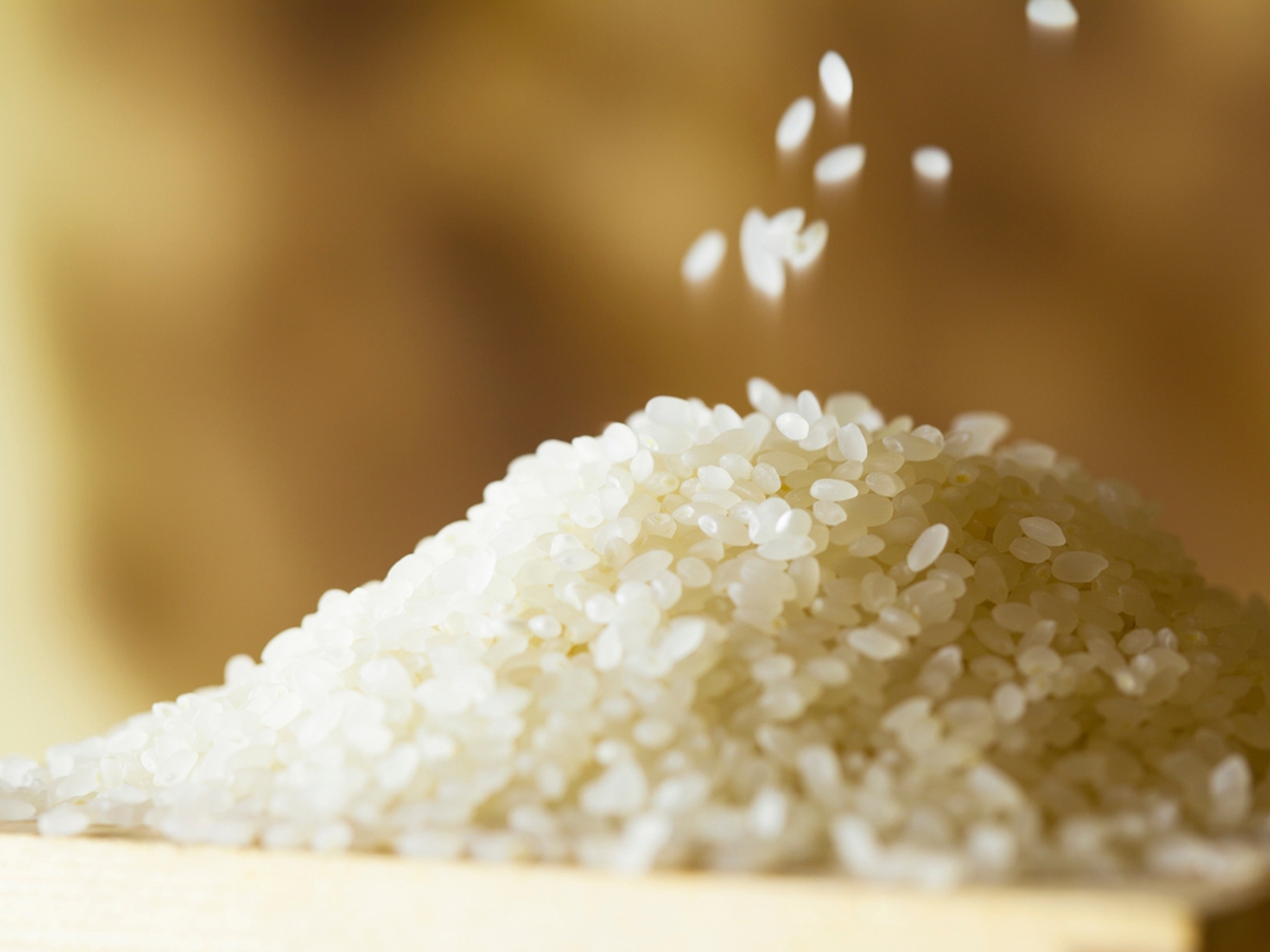 Japan's rice prices likely to fall in coming months