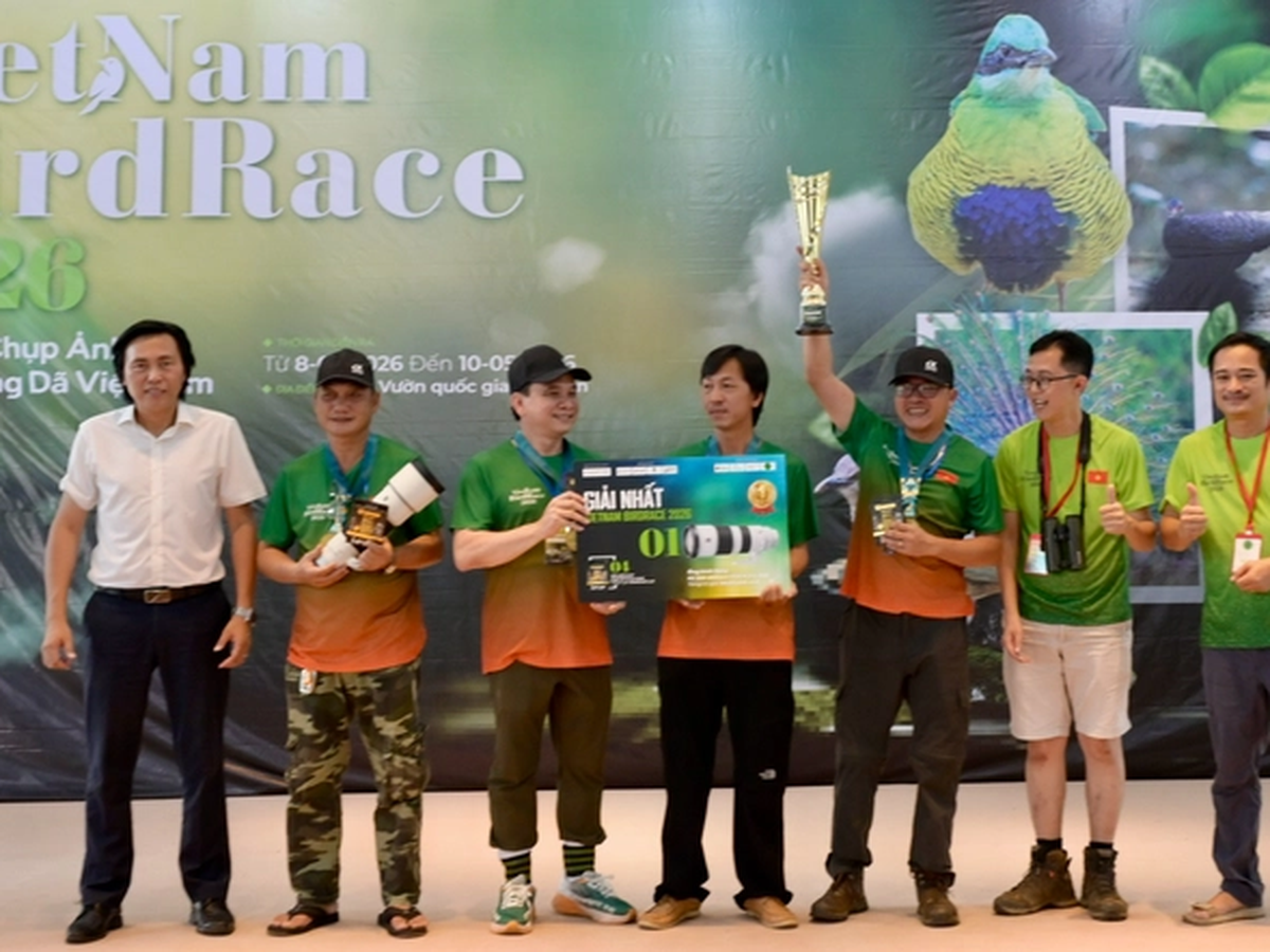 Vietnam’s largest wild bird photography competition brings together local, int’l nature enthusiasts