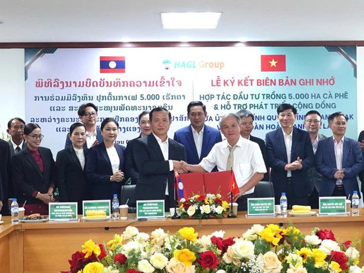 Vietnam’s Hoang Anh Gia Lai inks deal for $50mn coffee project in Laos